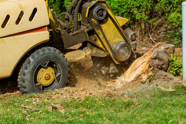 Best Mulching Services  in USA